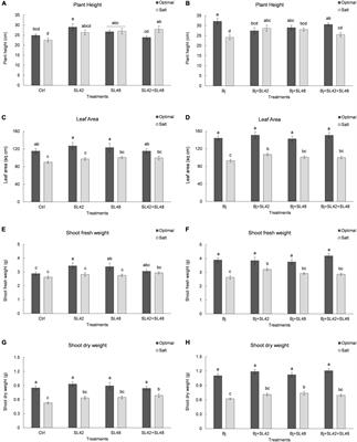 Soybean Leaf Proteomic Profile Influenced by Rhizobacteria Under Optimal and Salt Stress Conditions